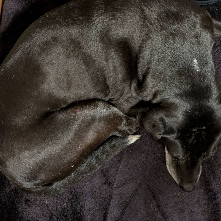 Ccf08273 cc07 4fcc a758 498d494bcbd7 1737410689007