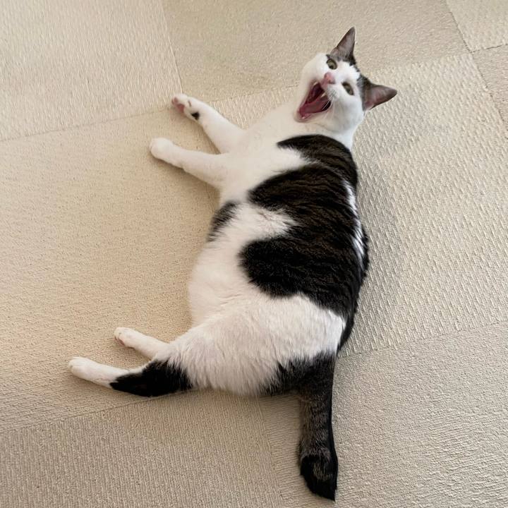 Ccf08a3e 9bcd 4673 8bdc ee72e3b1a702 1764571249377