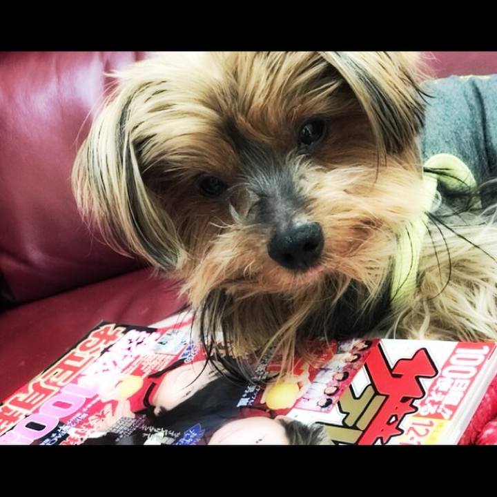 Ccf0a4c1 d4c4 407e a113 2ee064355ed5 1514610839375