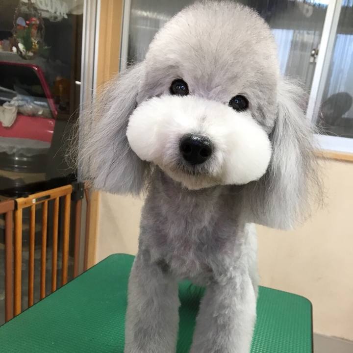 Ccf0b9f3 a71f 4ec5 b593 afb56c93b29d 1522166754993