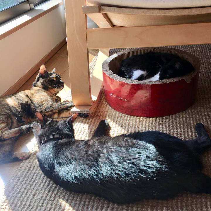 Ccf10794 d652 4816 9cbd 090db8cdc829 1518966419769