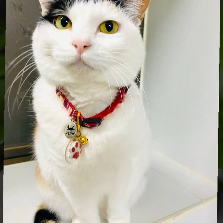 Ccf127ca 2172 44cd 9488 90d539dd276b 1709459833419