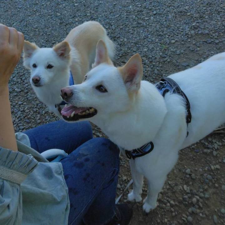 Ccf174ac 2f08 4dc1 a8c4 edcf6101ff21 1656200783660