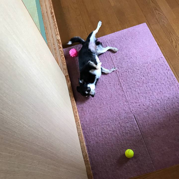 Ccf18cb4 ddd8 47a9 bcf0 3ed7d7a0d426 1530348313670