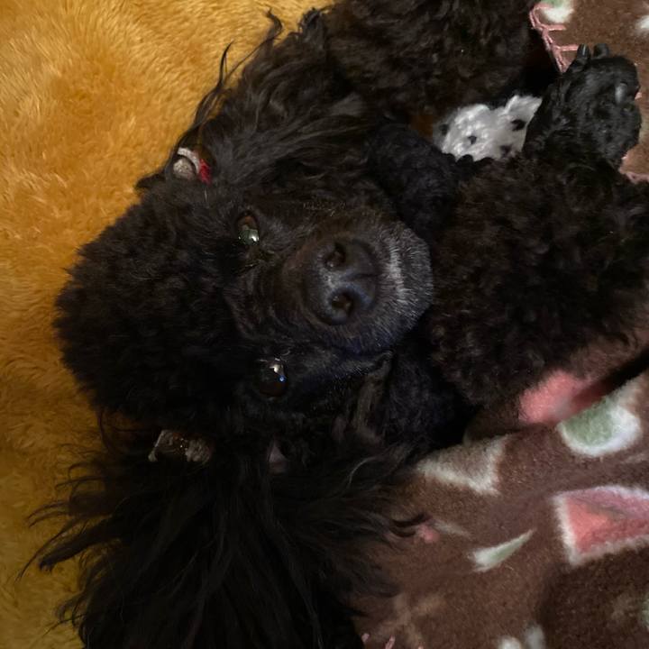 Ccf1a5a8 0ccf 4465 93df 8036724ccbdf 1581006596030