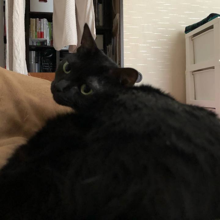 Ccf1d067 9a88 4577 80be 9a82e601aaa5 1555458348046