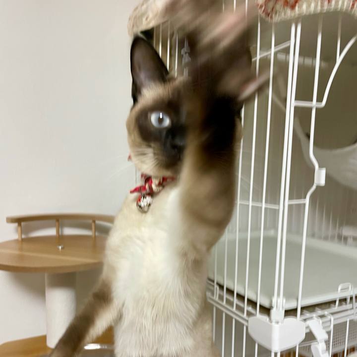 Ccf24cc3 30b3 4634 a5a0 28cf282c5af7 1711309521561