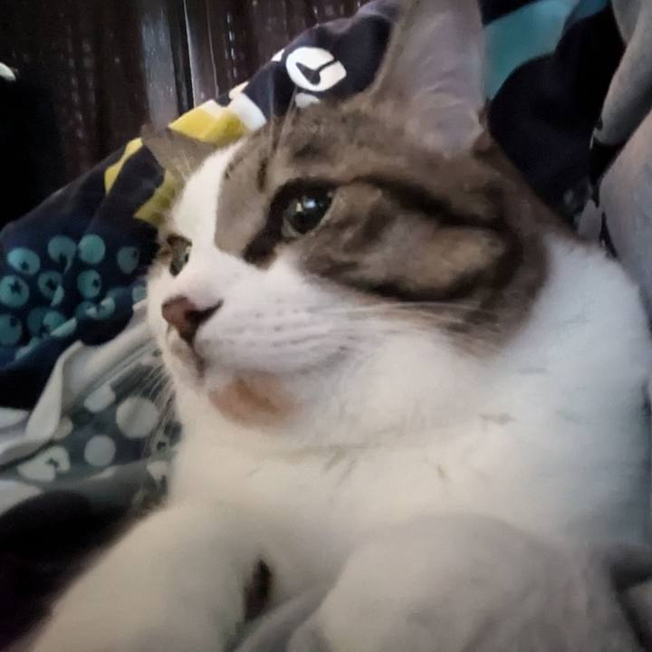 Ccf27f0e 905a 4dc5 9403 860718de1e98 1728602389300