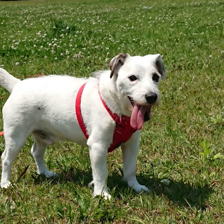 Ccf28a93 623a 4414 aa5b 14dd518e5d73 1588222398066