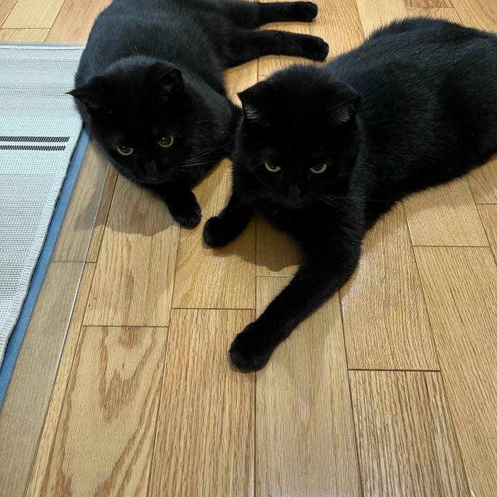 Ccf2afc6 0405 4499 a9c9 d2b95f09bea0 1660605288424