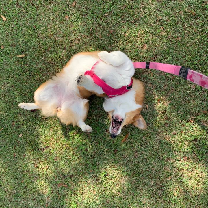 Ccf2d531 1410 4148 89dd 0f00bed97207 1697770021299