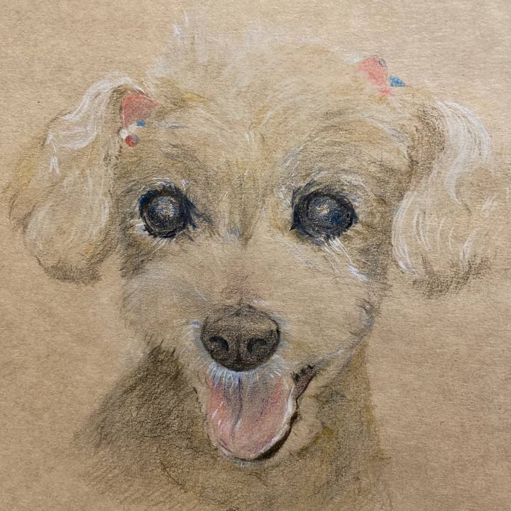 Ccf2d639 5822 451d bcb1 3f9eb652fccb 1637581270585