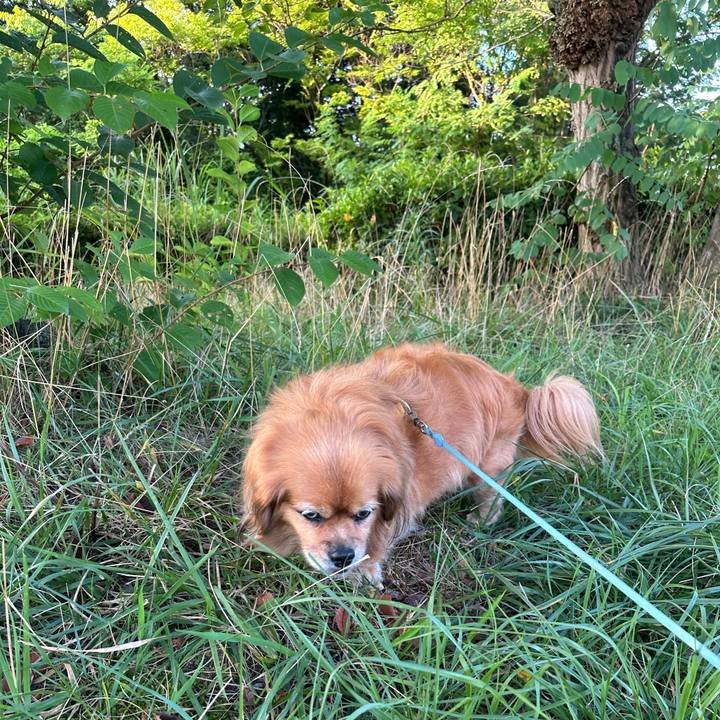 Ccf2f6a1 8965 47f2 9acc 3f13e85f49bc 1753253205963