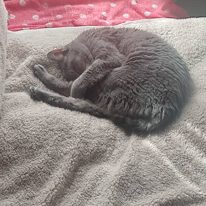 Ccf308d8 17b2 4b3e 860d 50a22c31bc78 1679615916345