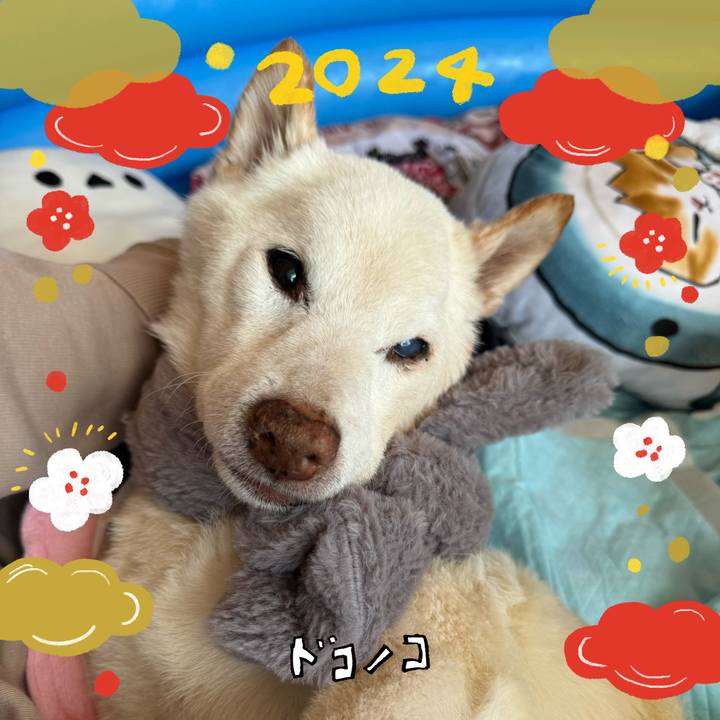 Ccf3172f 9d5f 4537 8fd0 d99e2ead4a9f 1704069299961