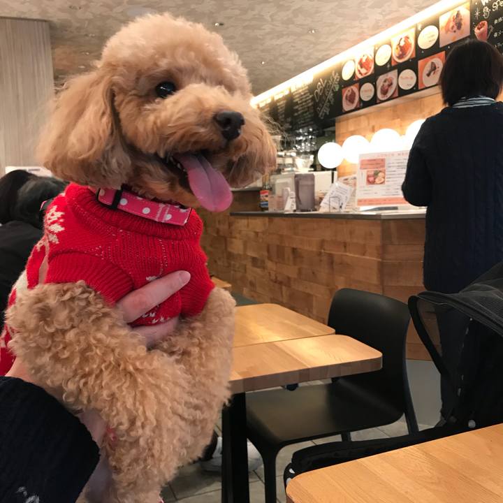 Ccf3cc5b 5292 440f 970b 529916c91895 1515905397488