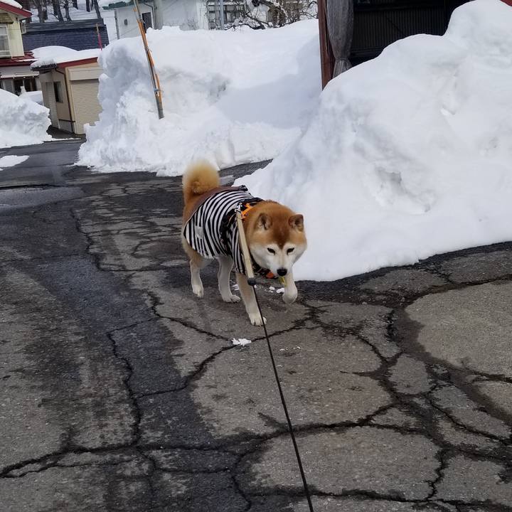 Ccf402b6 7fc4 464f b645 12a41e465a69 1643609196139