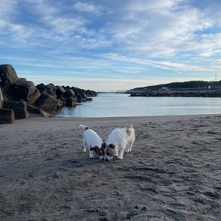 Ccf45abc 48c8 4bf8 a48c eeb81d36a534 1708298720923