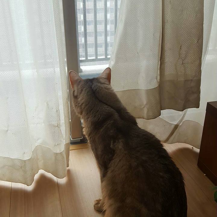 Ccf482c2 dcda 46c4 a973 a28486da8723 1549677091582