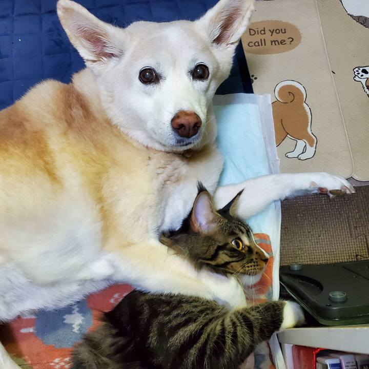 Ccf4eed3 6b54 41ed b133 3f023b4a0928 1671782501603