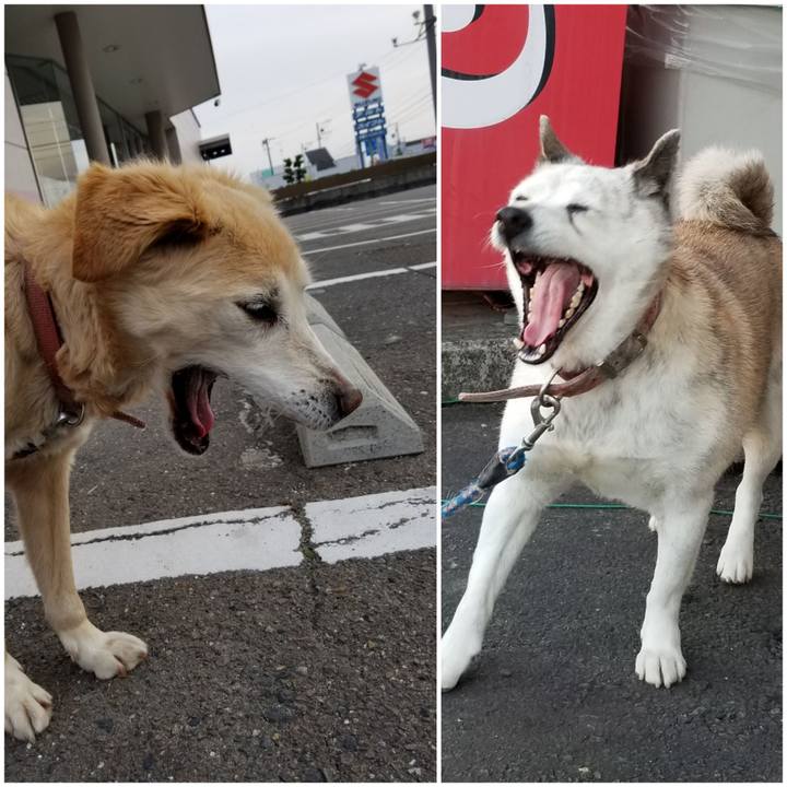 Ccf4f315 6937 4418 afba bcd47d990d8b 1751772507970