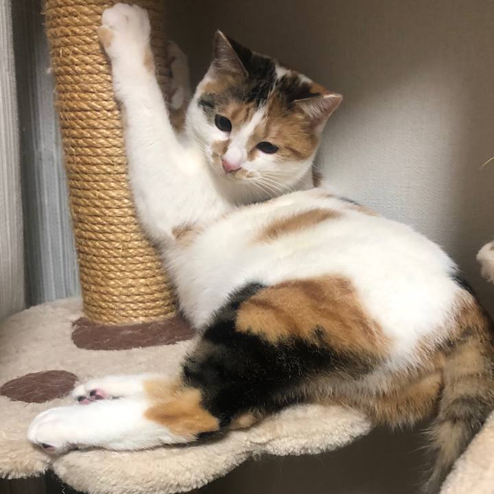 Ccf4f799 3793 41e4 99d1 8824195482ab 1578321220867