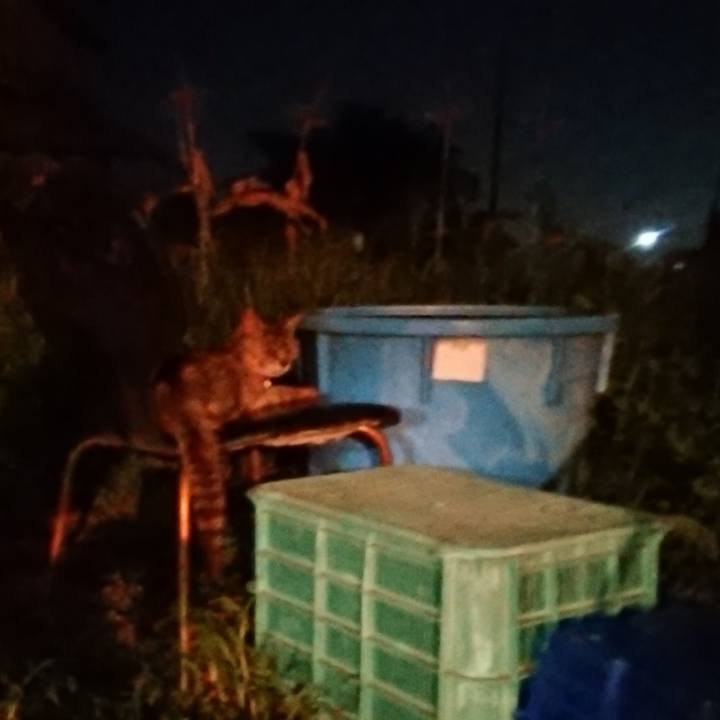 Ccf5124c d67c 4961 98d2 ee65a97b6ed6 1598524558898