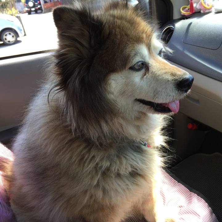 Ccf533e9 7d0d 491d 8f86 e2f074f48267 1591593461063