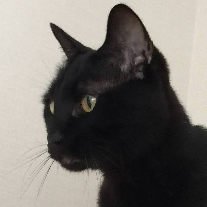 Ccf5495f a448 4602 b075 ba2782e5d691 1524023136408