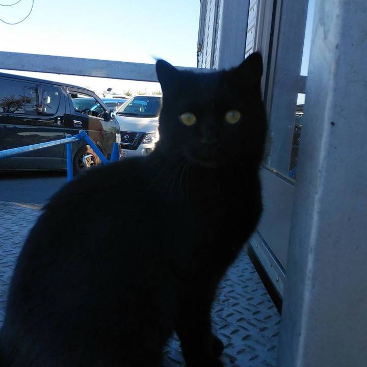 Ccf55319 27a8 497d a653 76e174156094 1574209108645