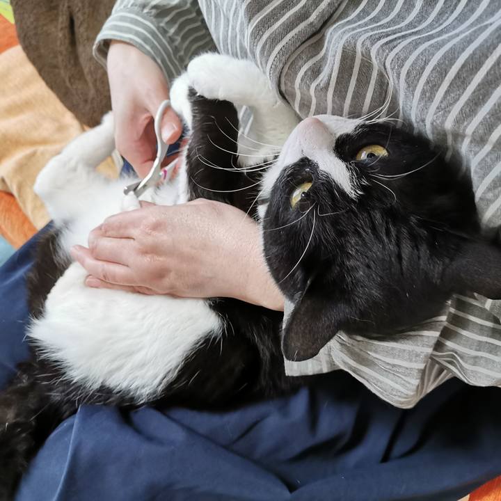 Ccf584c5 e309 4d1d b42d 599fca2df63e 1680581382314