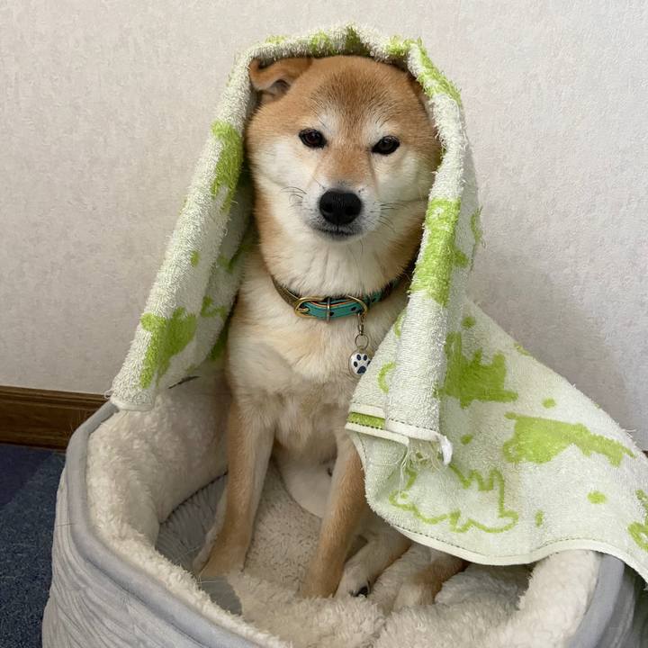 Ccf5a776 0151 4aff 8600 30b90ffaef23 1604309914453