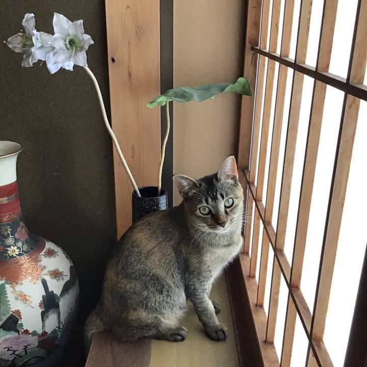 Ccf5b33e 0cd2 474c 84b2 ea2d73733ef9 1579501955938