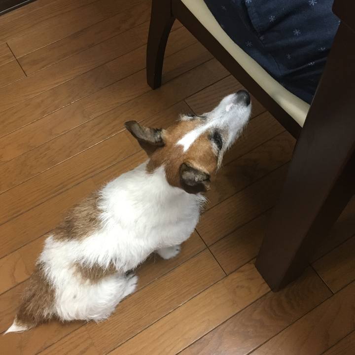 Ccf5b58a 9af7 4140 9a59 2f65a63c162c 1558063724368