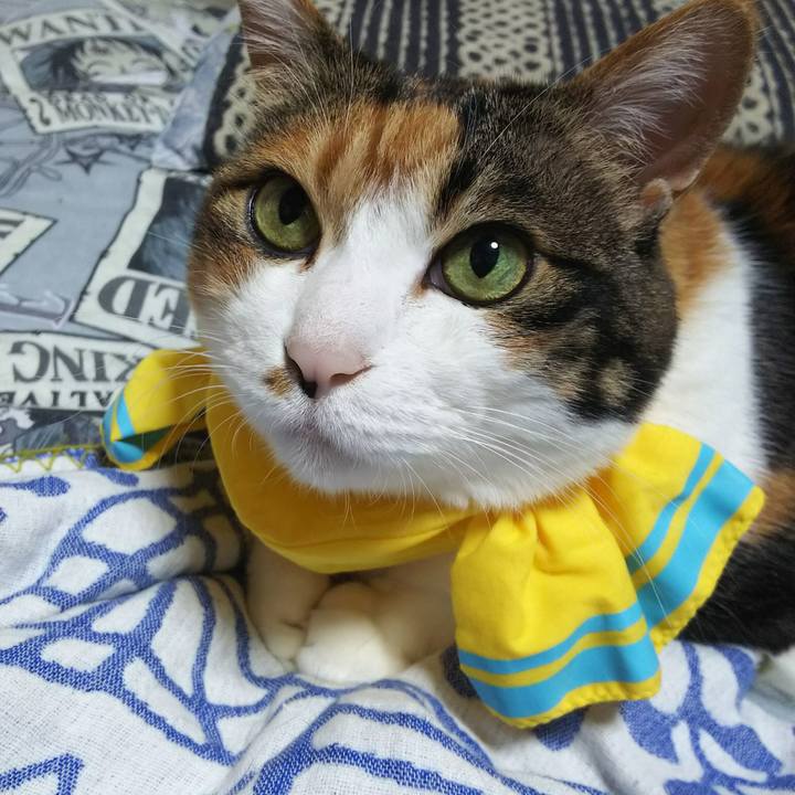 Ccf5f62f adb2 4099 8db0 9cc0c2c5167c 1528208176303