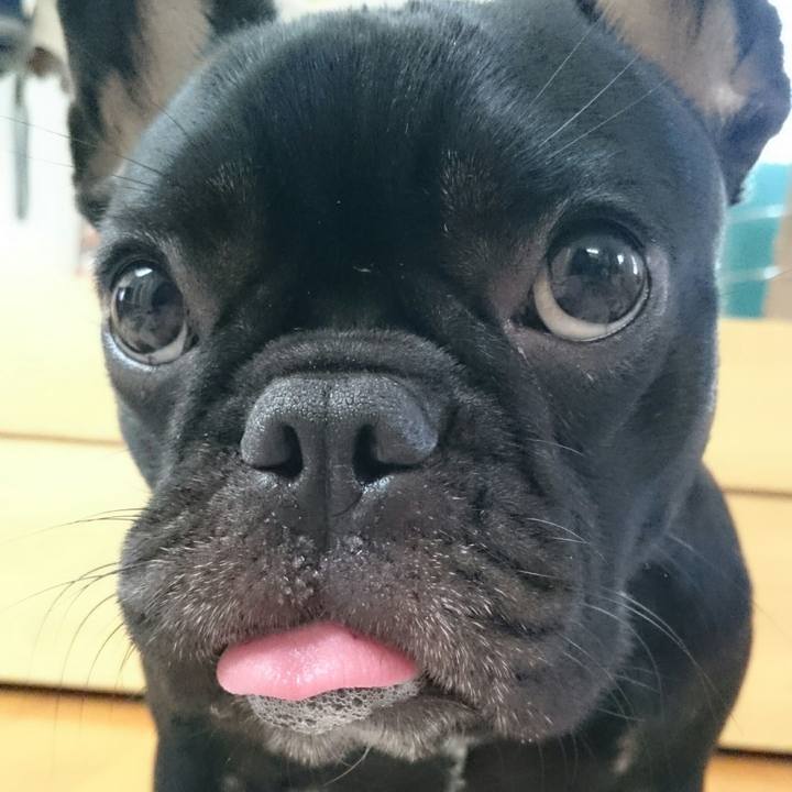 Ccf60303 a744 44e6 b406 acaa4859a2e9 1509766781456