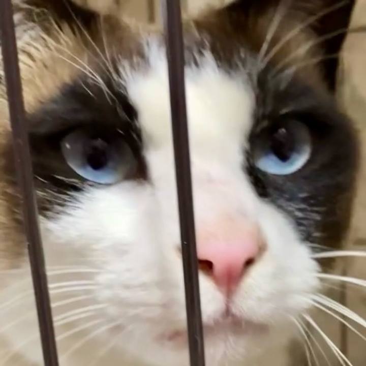 Ccf64d79 f89d 4376 8ded 995cf9f6bf3c 1743586493885