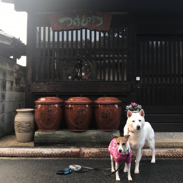 Ccf64dcc 638b 46c7 b64d 7aa65112f38d 1511398469083