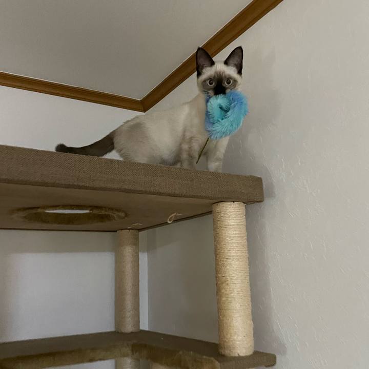 Ccf659f2 28cc 41b8 86c4 a5e88091e66a 1694720152575