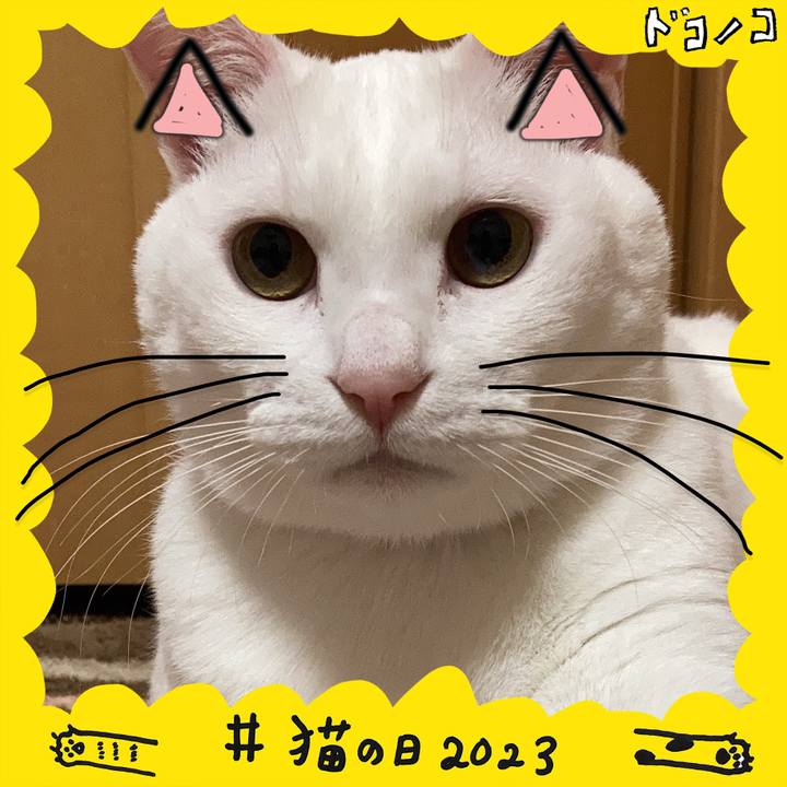 Ccf69dfb 79cc 474d 8d43 1afda7f9df2e 1677033318980