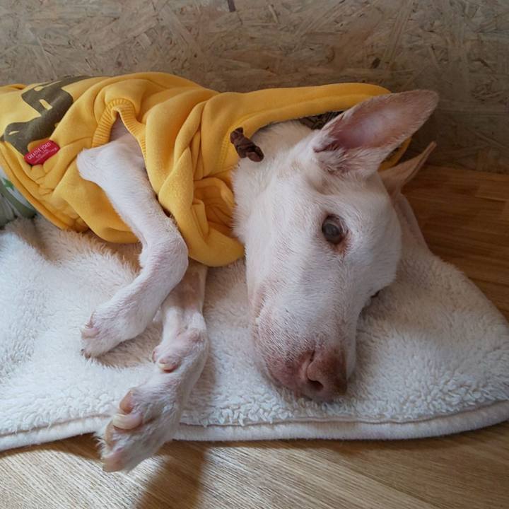 Ccf6a50c 1b85 4e34 b947 4075e28b721b 1615001236593