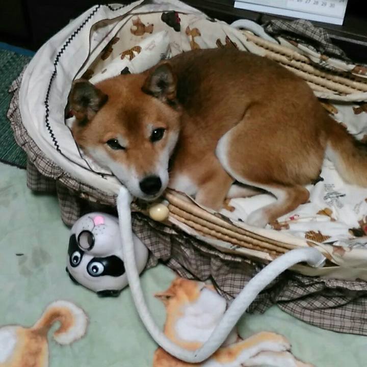 Ccf6da1b 6045 4456 8edb 4112ac6d0795 1541075007819