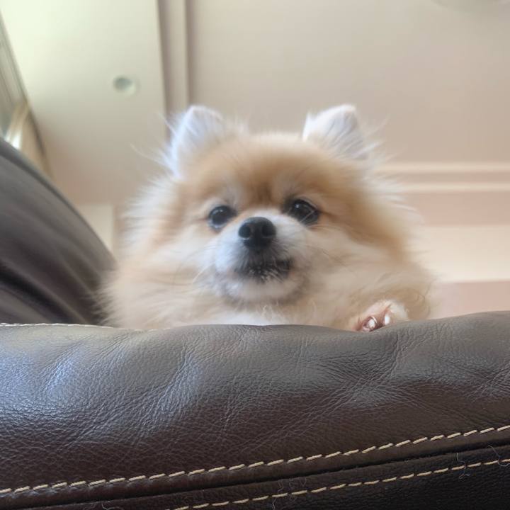 Ccf70413 7111 48fb a694 26f5ce49f2bf 1573648204487