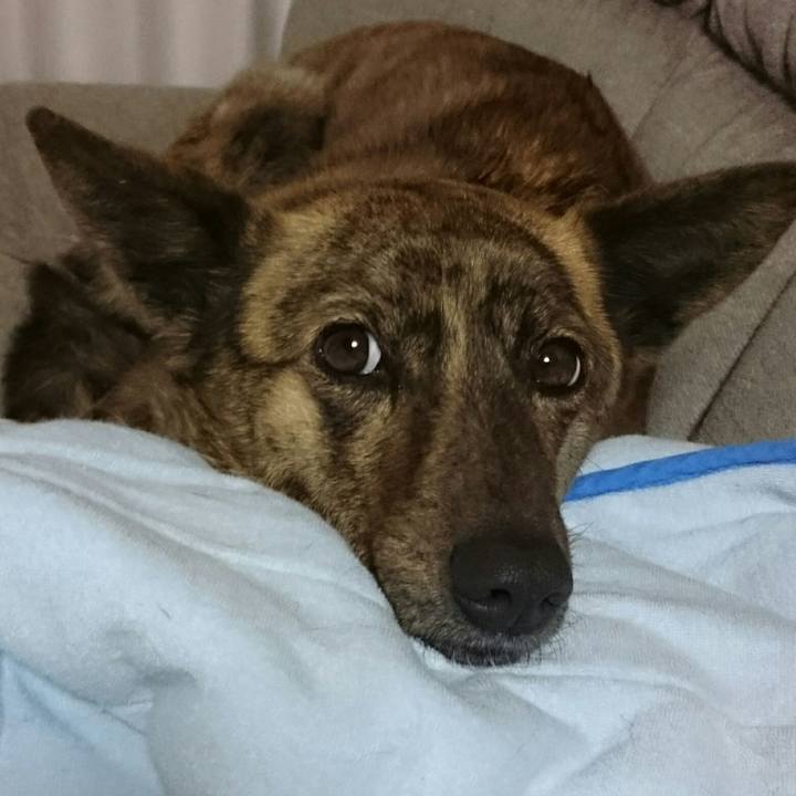 Ccf7160c 51ae 45ae 9a3b 22035cbe200d 1514374116335