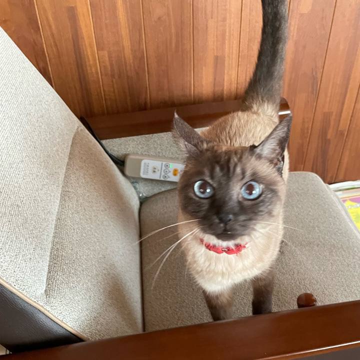 Ccf71739 833d 4a7e a98a 1f4fe7f1775d 1776769783780