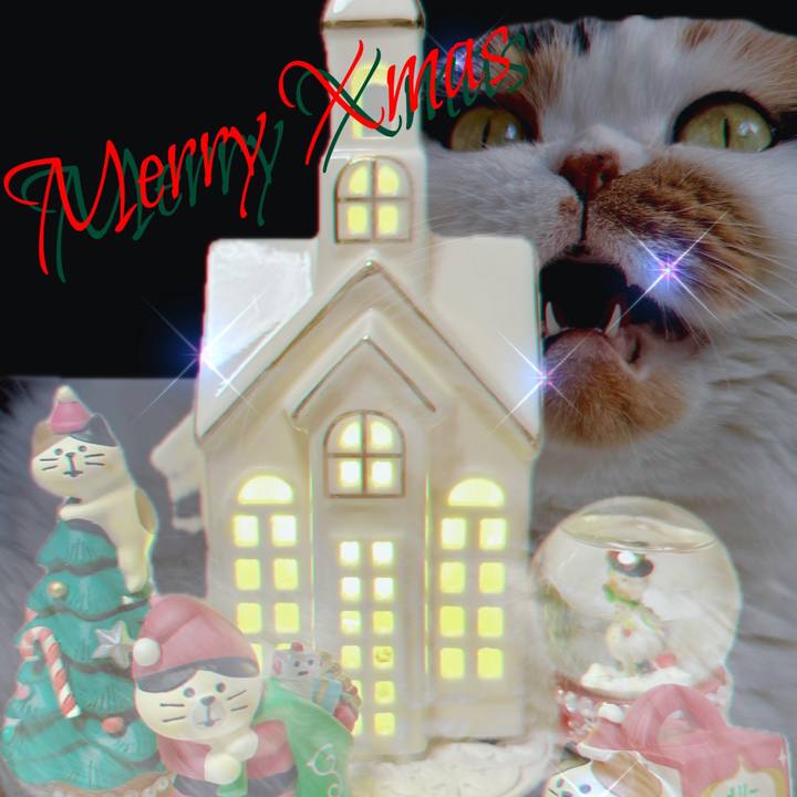 Ccf728be fe92 4ff4 be70 6329783fcc5e 1703363563740