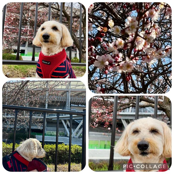 Ccf79d06 959d 469c b470 f2c36aa14a8b 1772422062747