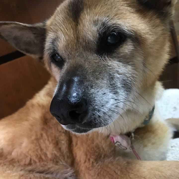 Ccf7a191 6838 4c6a be4e f3e7cc550e55 1557094191695