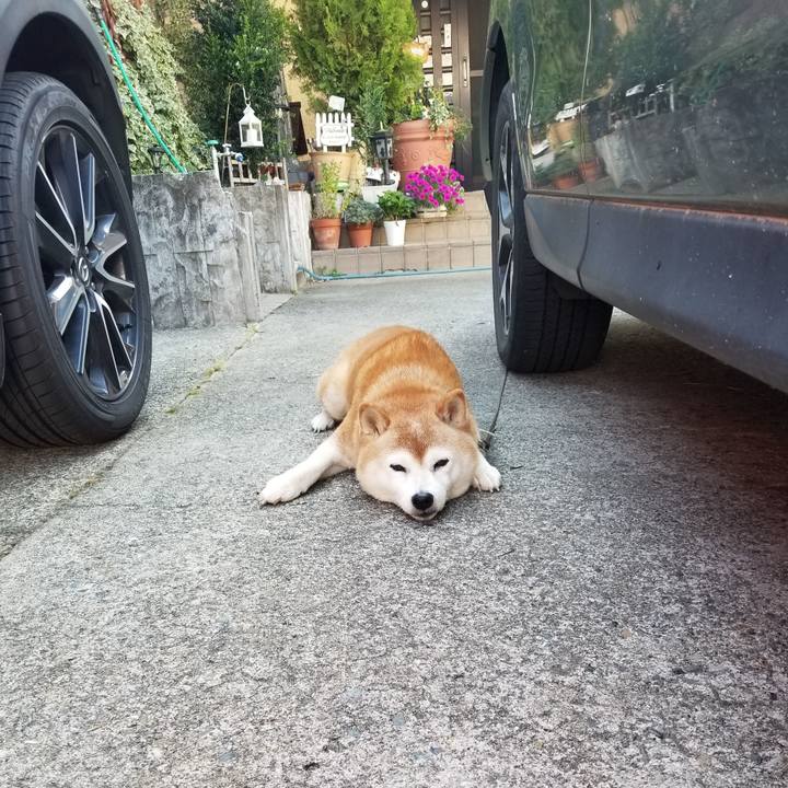 Ccf7df27 a6e9 45ee 9dfa 3864ad731276 1694822885064