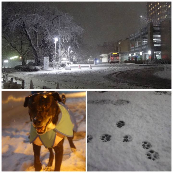 Ccf7e6bc 0cc7 4425 9e93 b5062f3ddf7d 1707131844666